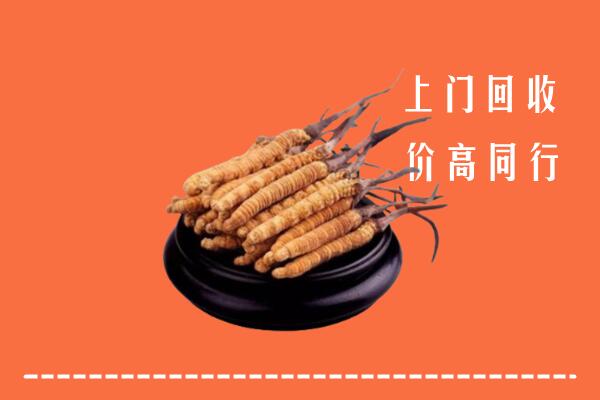高价求购：玛沁回收散虫草