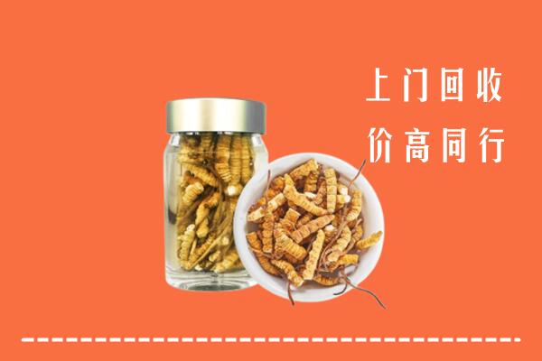 玛沁回收冬虫夏草